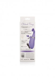 Фиолетовая клиторальная помпа Intimate Pump Rechargeable Clitoral Pump