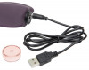 Фиолетовый клиторальный стимулятор Desire Blooms Rechargeable Clitoral Vibrator